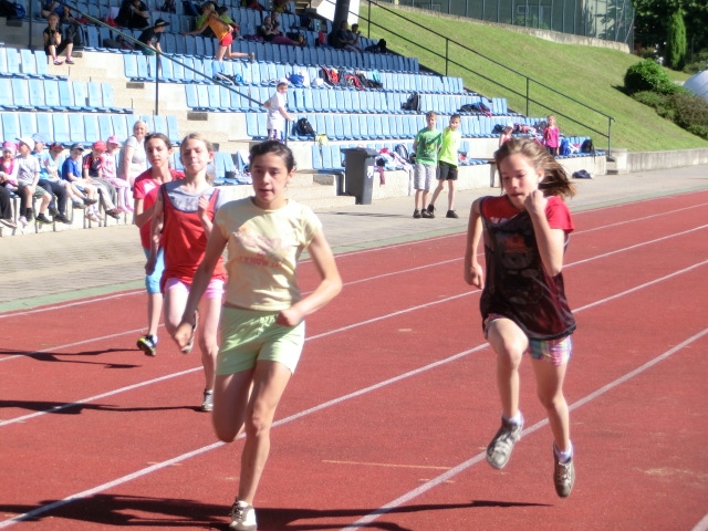 Štít města Dačice