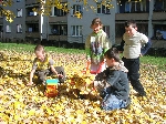 Foto - Podzimn radovnky