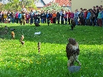 Foto - Dravci - vukov program
