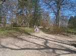 Foto - Běh v parku