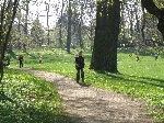 Foto - Bhme v parku