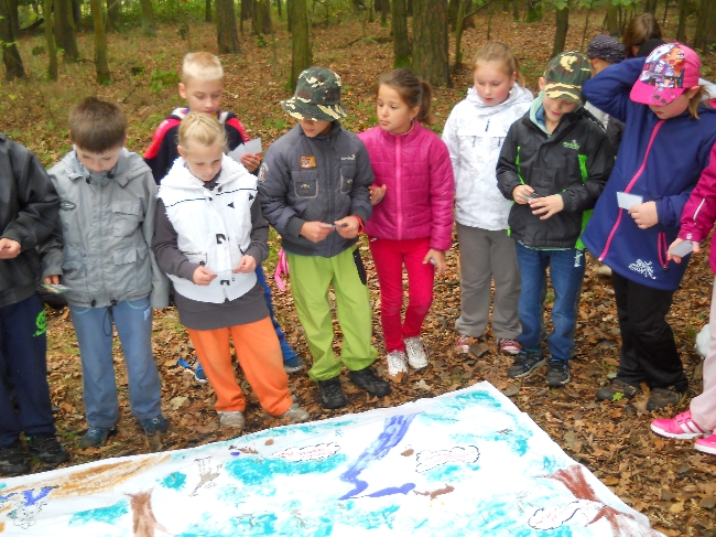 Stromy, sketi a devci