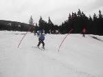 Foto - Zvod ve slalomu