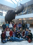 Foto - Muzeum Anthropos Brno - mamut v ivotn velikosti 