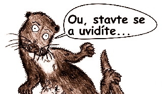 vydra Vs zve na vstavu