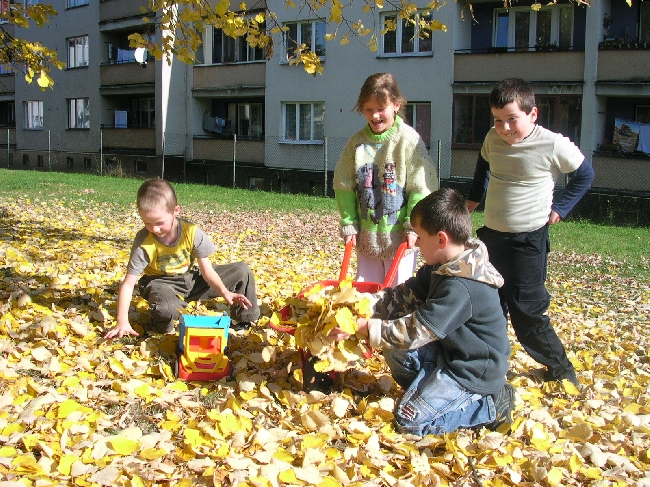 Foto - Podzimn radovnky