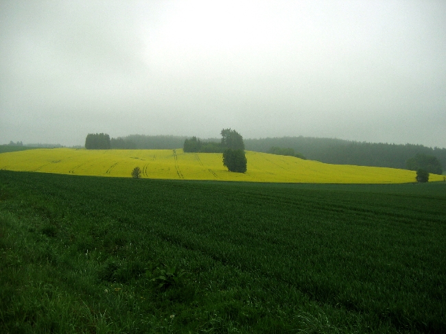 Foto - Krajina mla nco do sebe