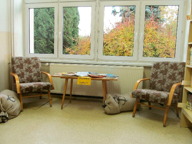 Pjemn posezen nad knihami