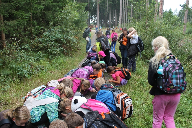 Foto - sbrme poklad - barevn sklka