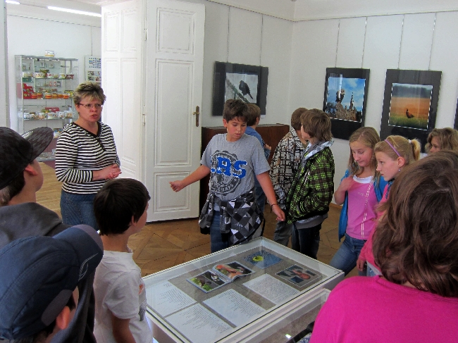 Naše parta Kroužek