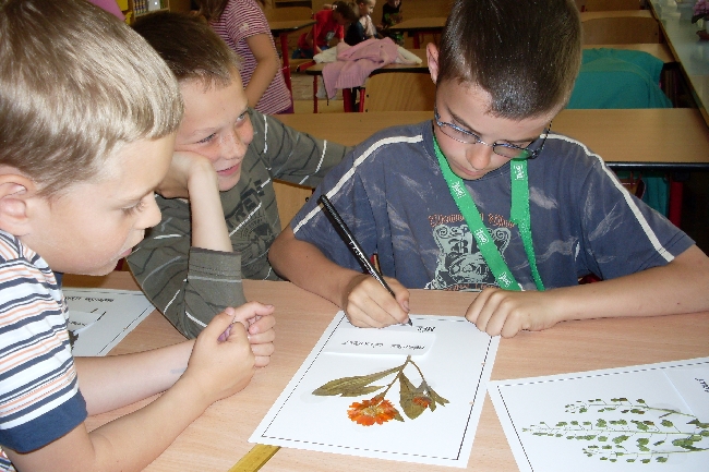 Herbář Tvorba herbářů v ŠD