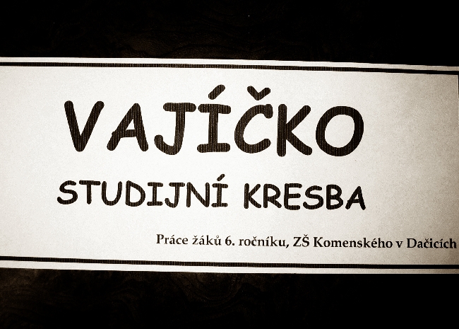 Foto - Vajko, studijn kresba, 6. ronk